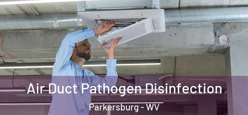  Air Duct Pathogen Disinfection Parkersburg - WV