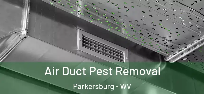  Air Duct Pest Removal Parkersburg - WV