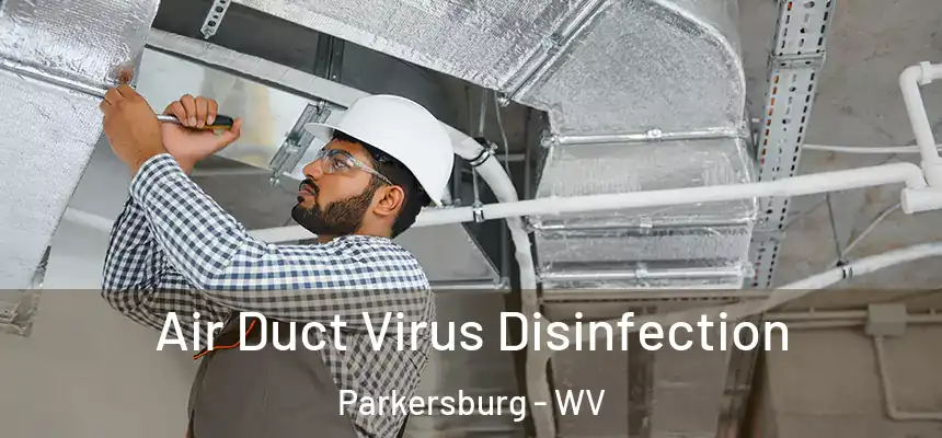  Air Duct Virus Disinfection Parkersburg - WV