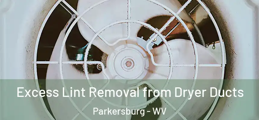  Excess Lint Removal from Dryer Ducts Parkersburg - WV