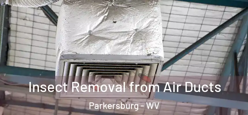  Insect Removal from Air Ducts Parkersburg - WV