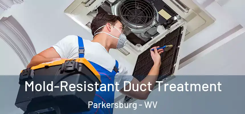  Mold-Resistant Duct Treatment Parkersburg - WV