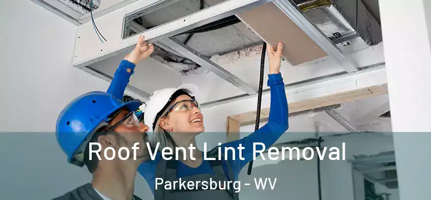 Roof Vent Lint Removal Parkersburg - WV