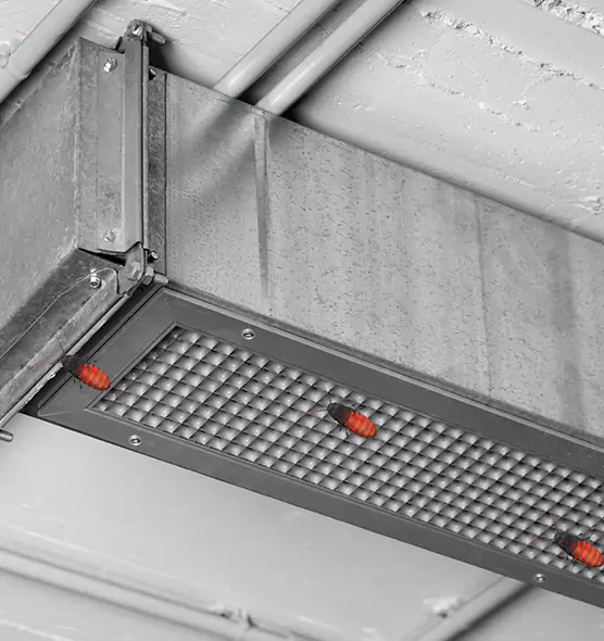 Affordable Insect Removal from Air Ducts in Parkersburg, WV